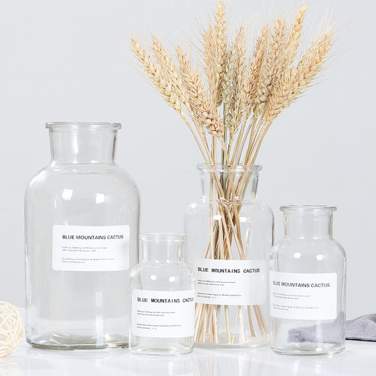 Lab Vase - Fino Decor